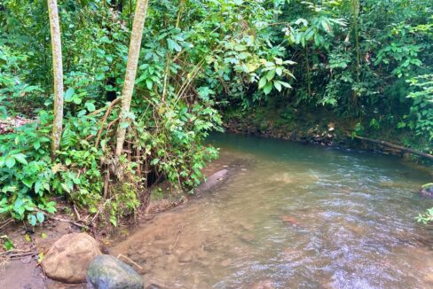 la fortuna costa rica real estate arenal volcano hot springs land with river for sale
