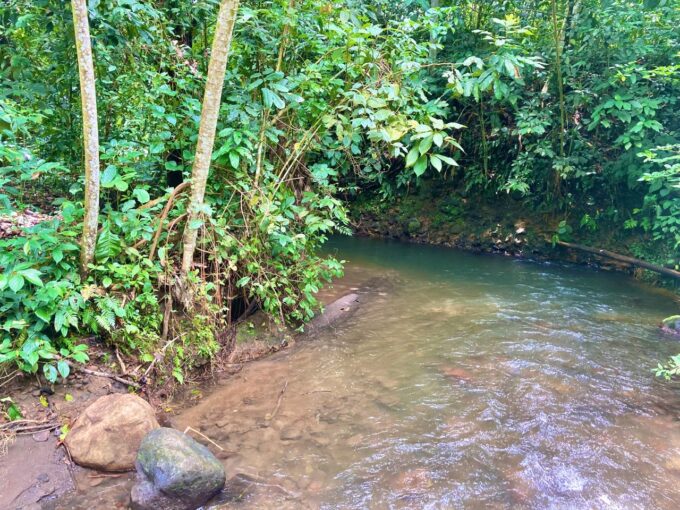 2 Hectare Raw land with Pristine Large River 10 min from La Fortuna with view of Volcano