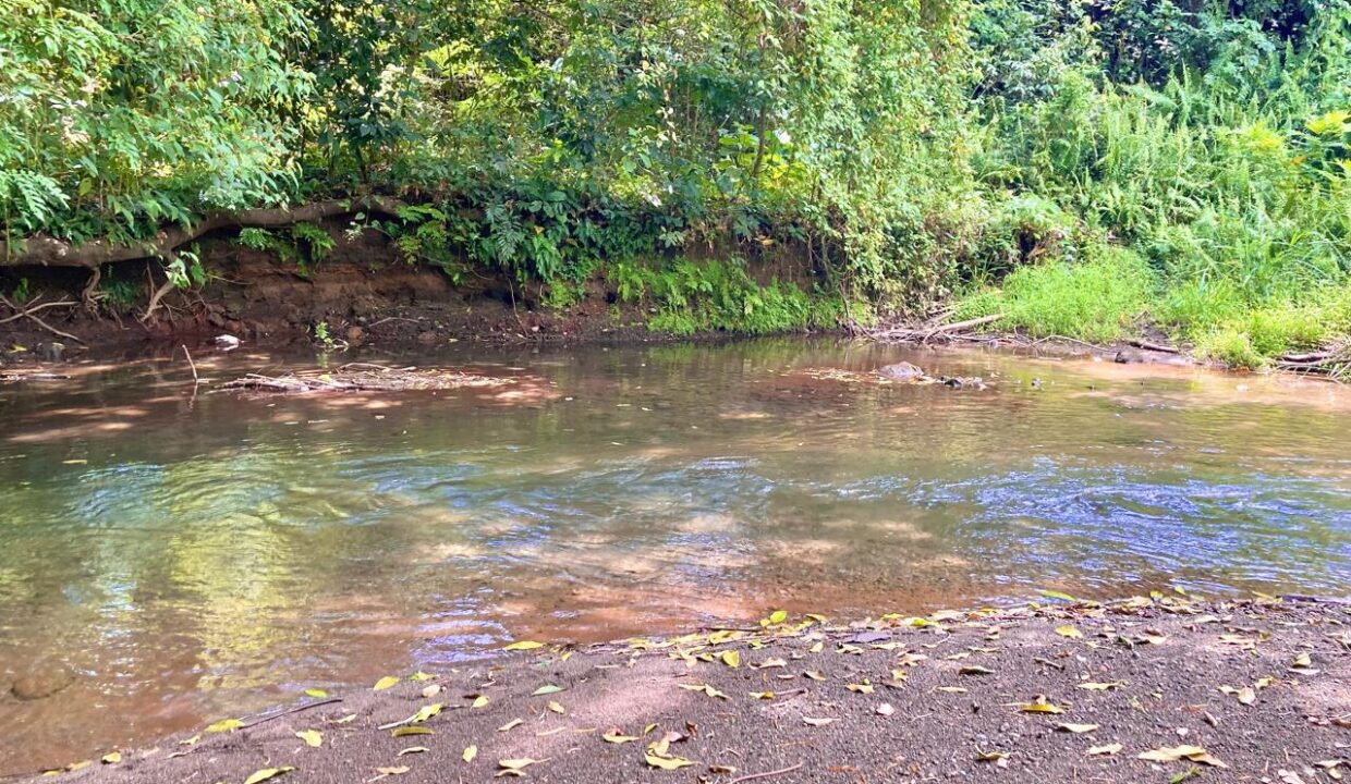 la fortuna costa rica real estate agent arenal volcano hot springs land for sale with river