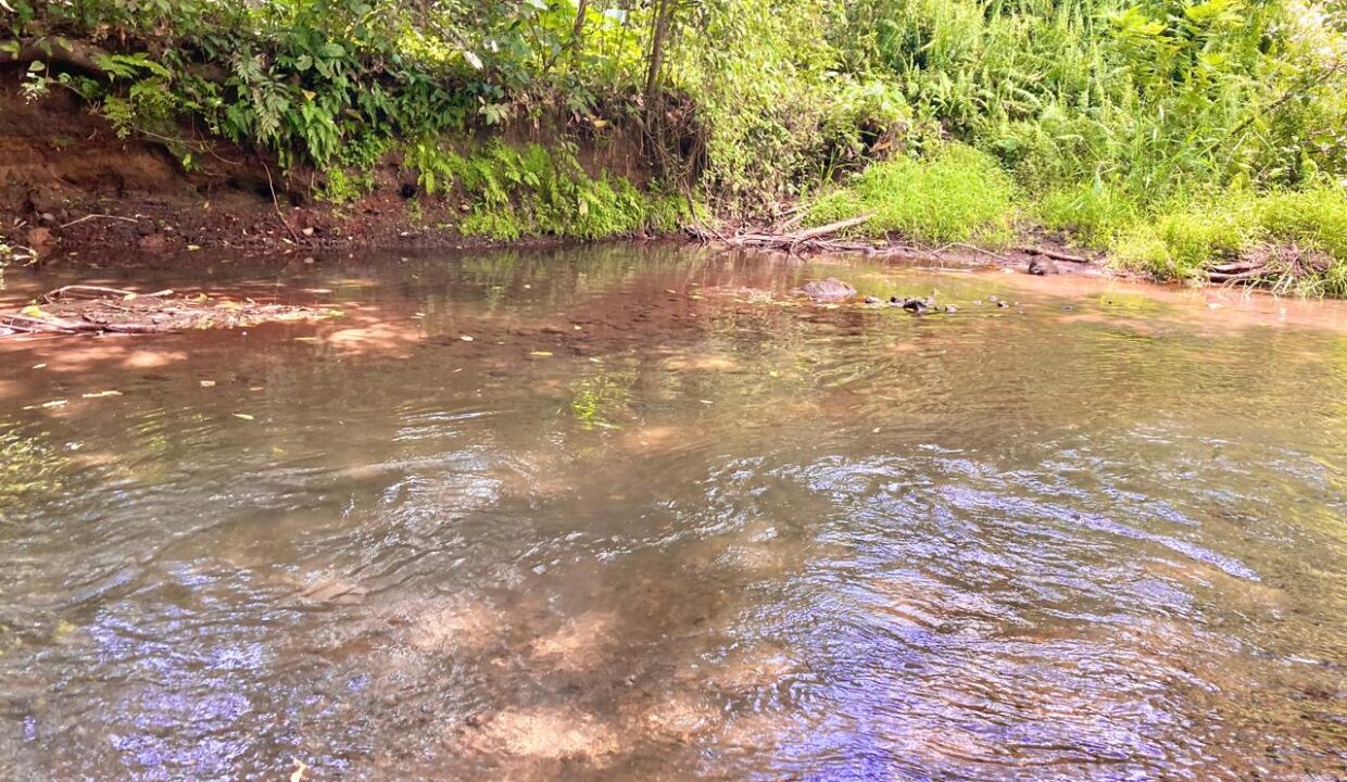 la fortuna costa rica real estate agent arenal volcano hot springs land for sale with river