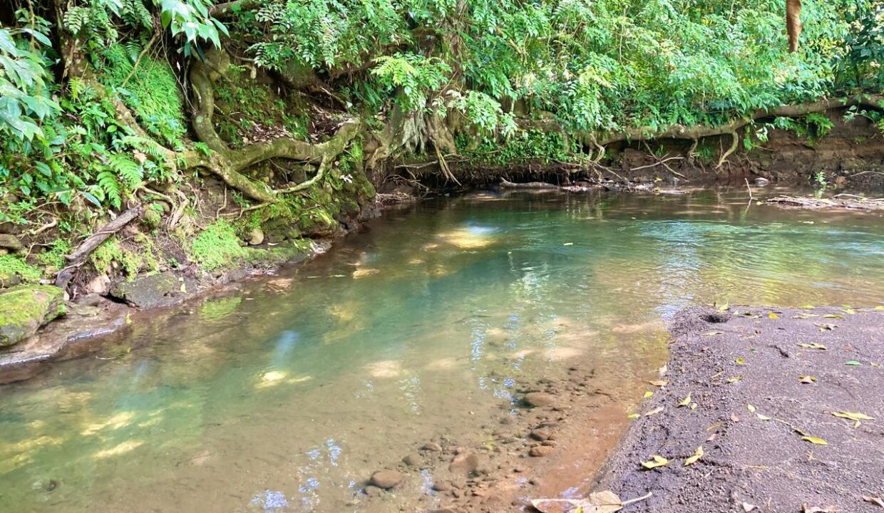 la fortuna costa rica real estate agent arenal volcano hot springs land for sale with river