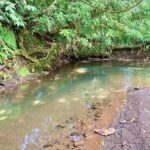 la fortuna costa rica real estate agent arenal volcano hot springs land for sale with river