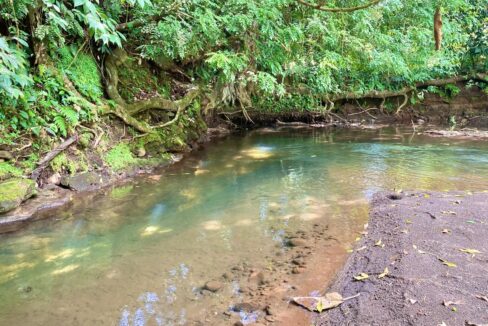 la fortuna costa rica real estate agent arenal volcano hot springs land for sale with river