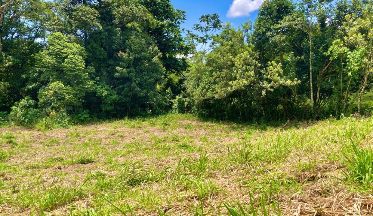 la fortuna costa rica real estate agent arenal volcano hot springs land for sale with river