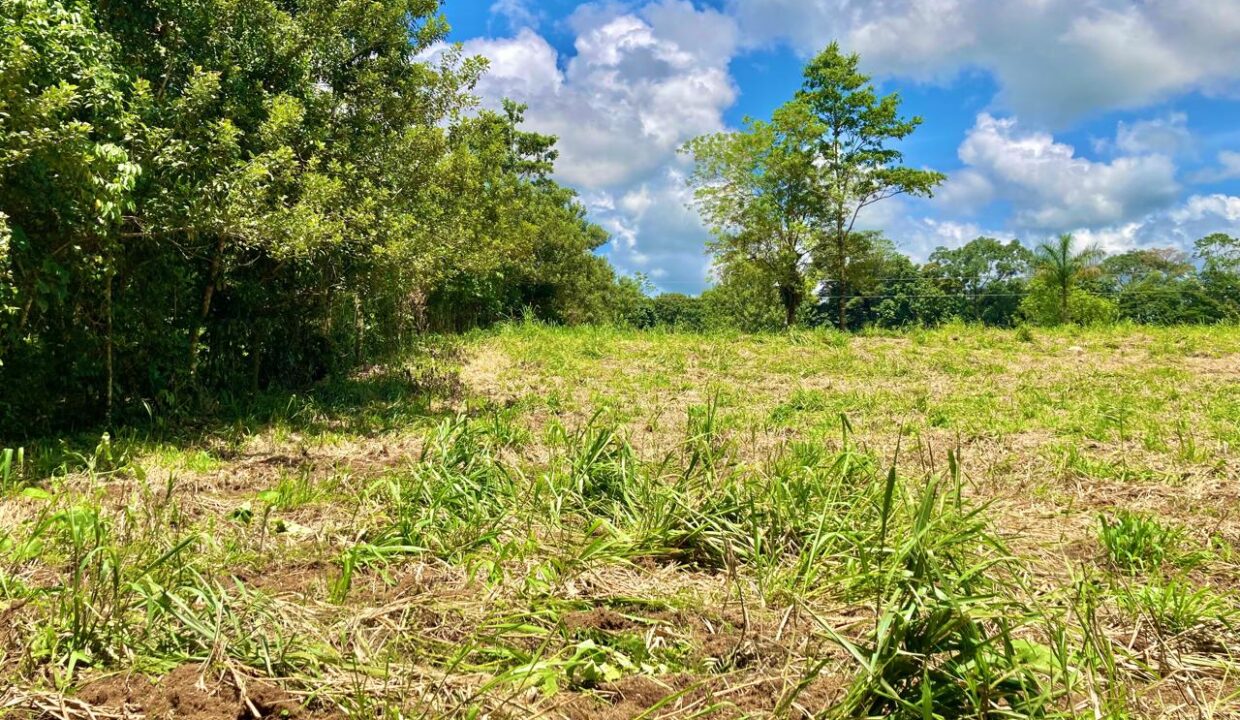 la fortuna costa rica real estate agent arenal volcano hot springs land for sale with river