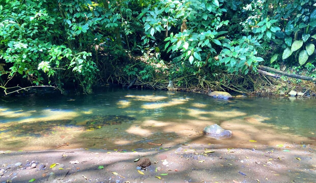 la fortuna costa rica real estate agent arenal volcano hot springs land for sale with river
