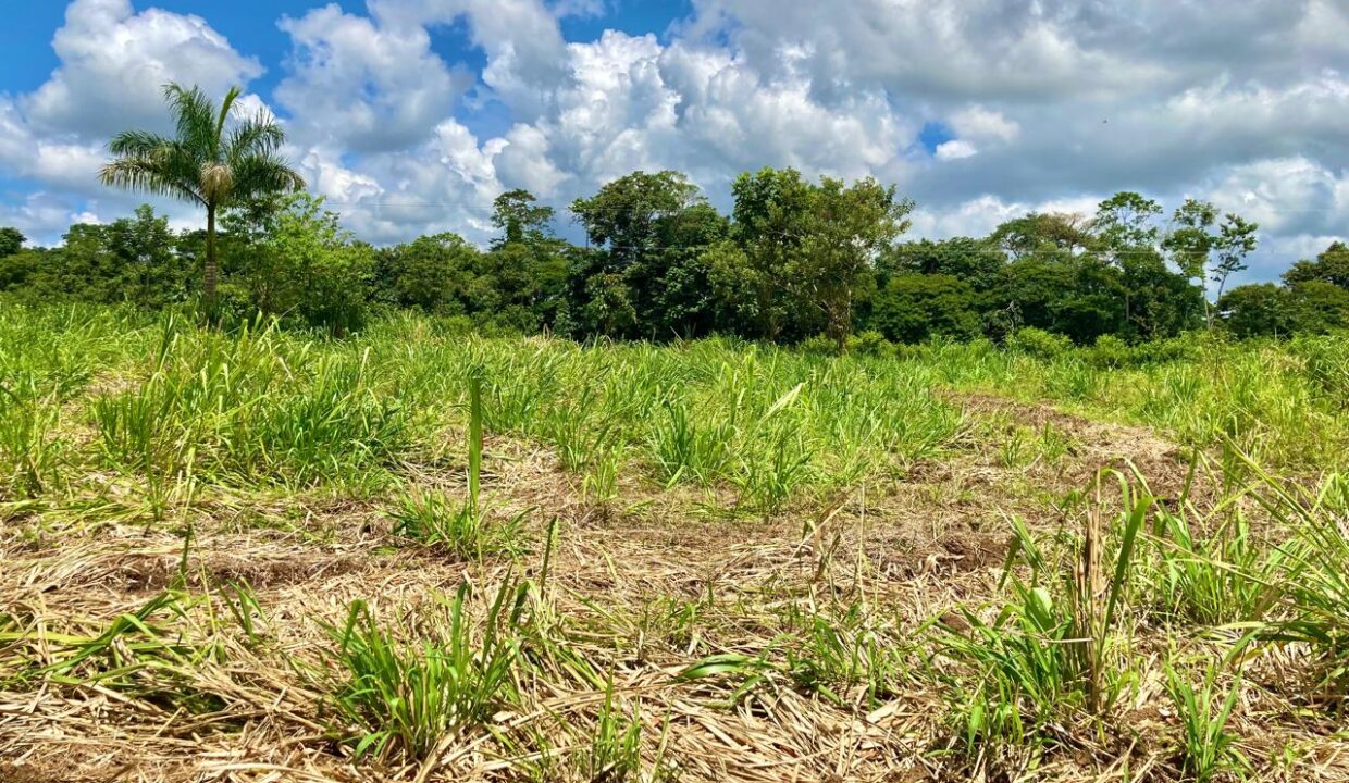 la fortuna costa rica real estate agent arenal volcano hot springs land for sale with river