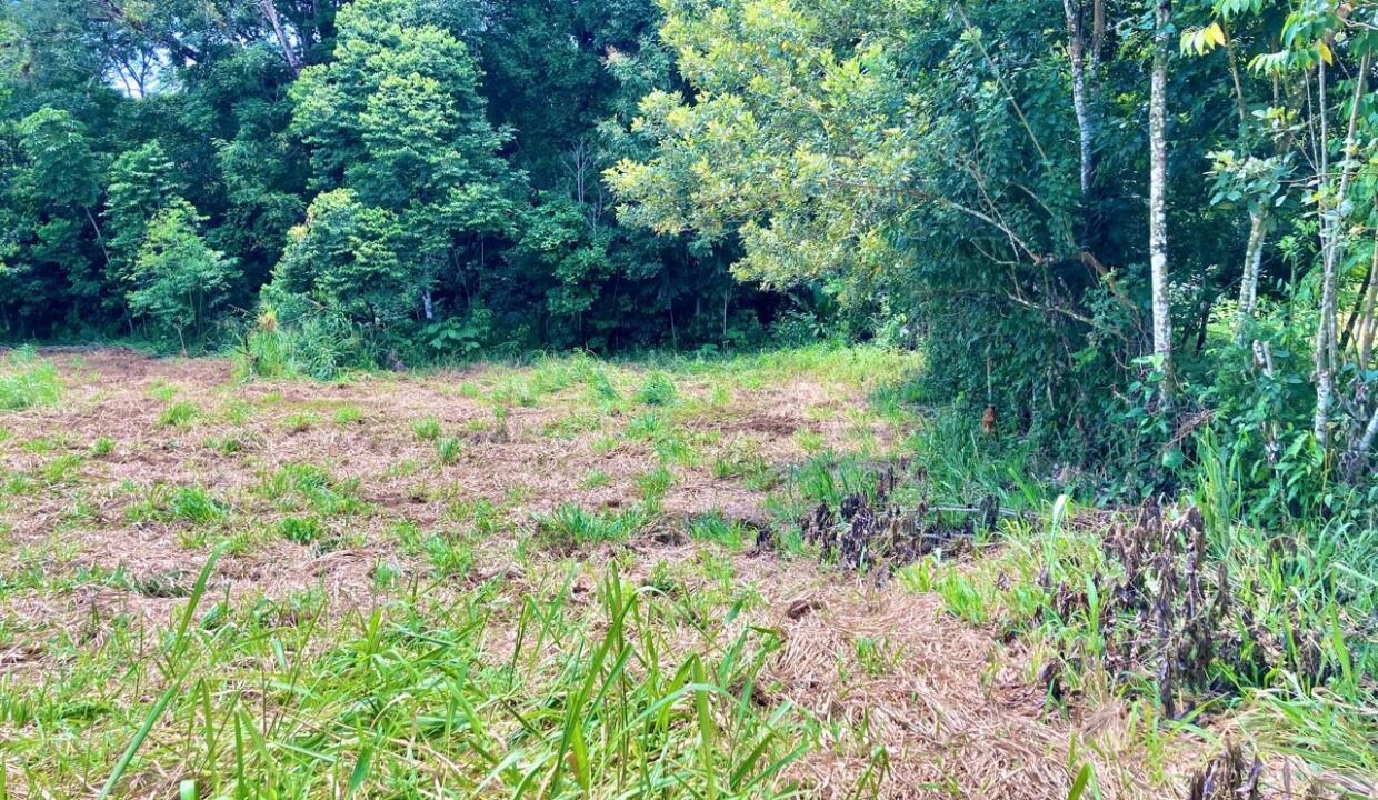 la fortuna costa rica real estate agent arenal volcano hot springs land for sale with river