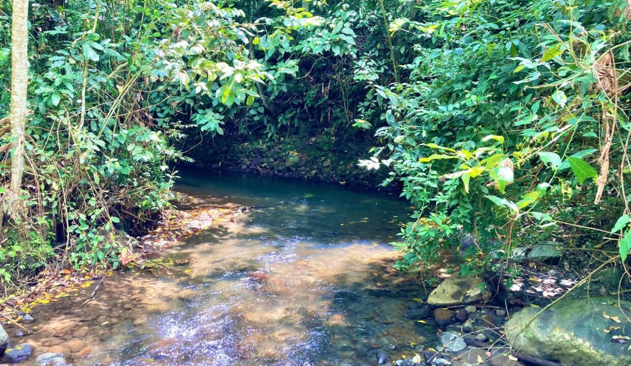 la fortuna costa rica real estate agent arenal volcano hot springs land for sale with river