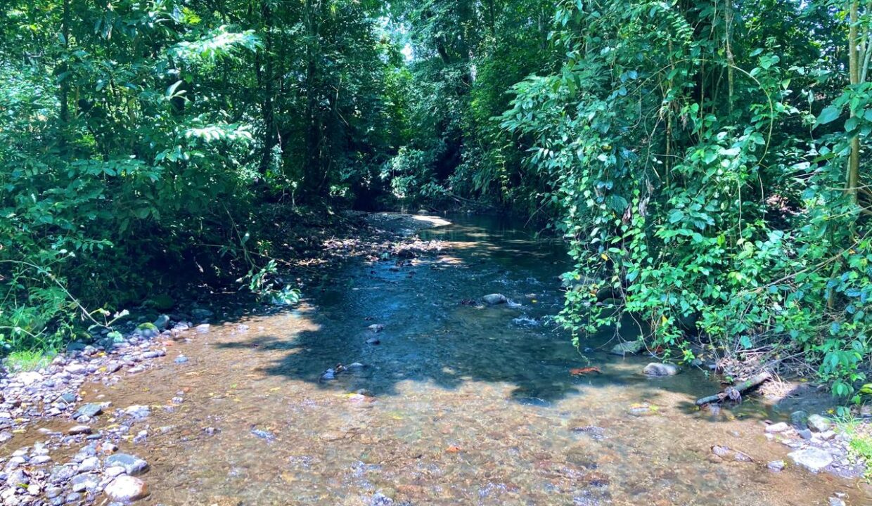 la fortuna costa rica real estate agent arenal volcano hot springs land for sale with river