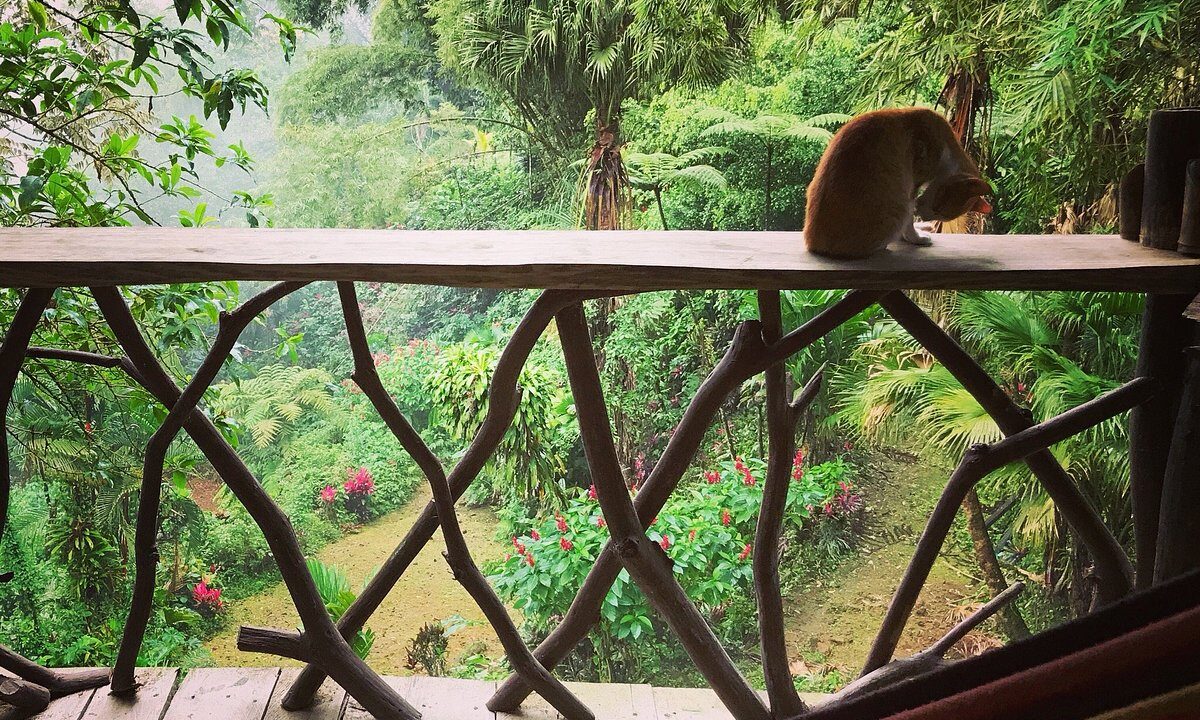 income property hotel ecolodge for sale la fortuna costa rica real estate arenal volcano hot springs premaculture river mountain waterfall for sale