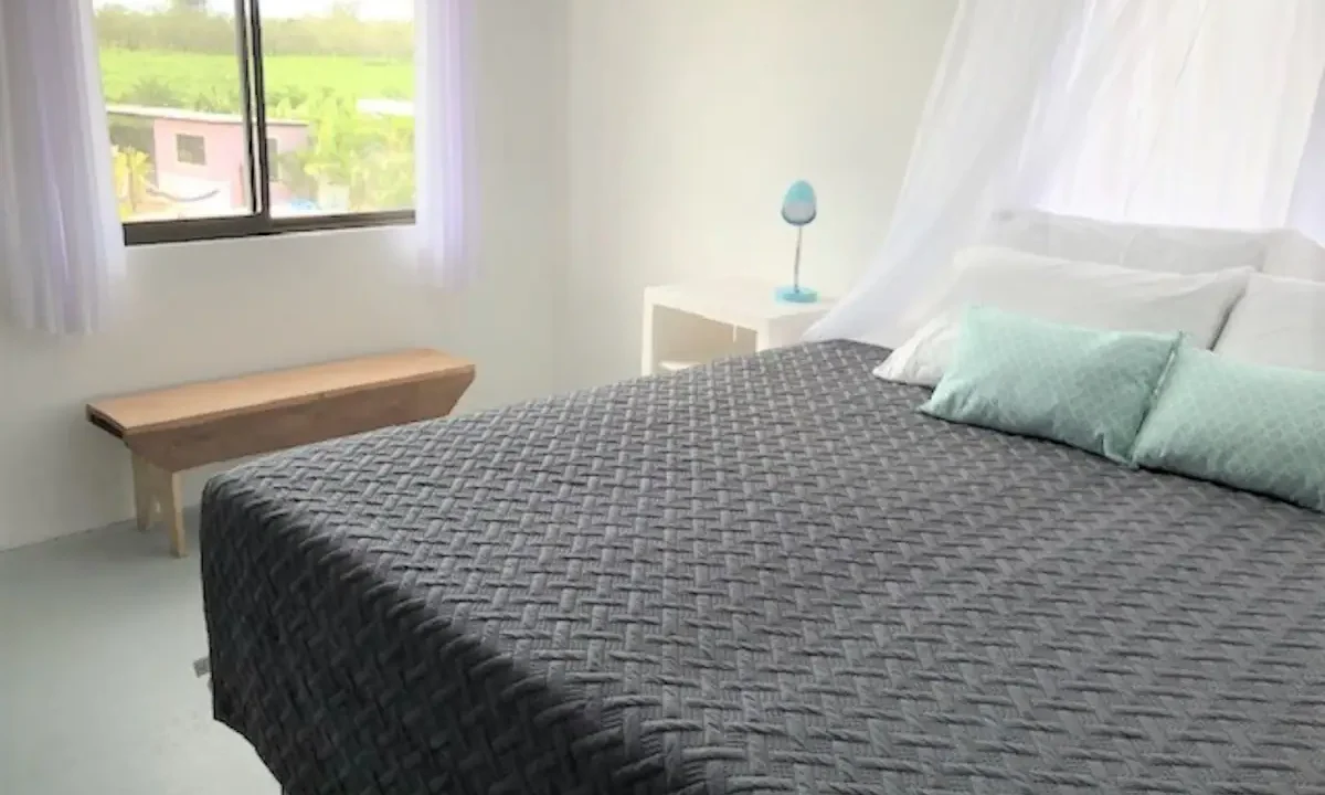 mint house bed income property airbnb la fortuna