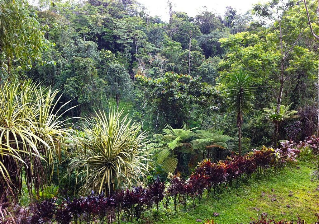 income property hotel ecolodge for sale la fortuna costa rica real estate arenal volcano hot springs premaculture river mountain waterfall for sale