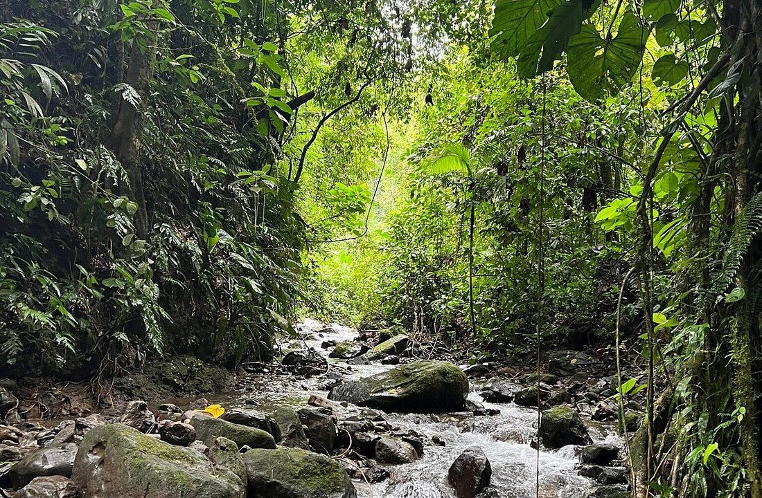 La Fortuna Mountain Ecolodge
