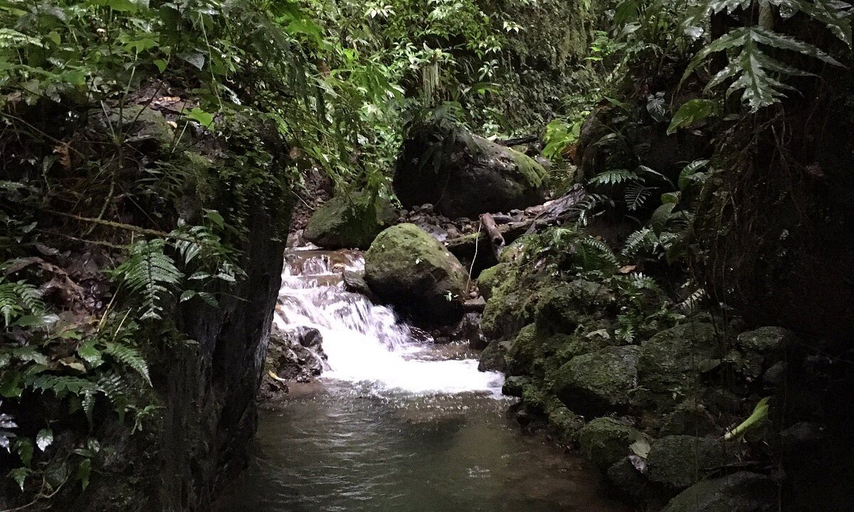 La Fortuna Mountain Ecolodge