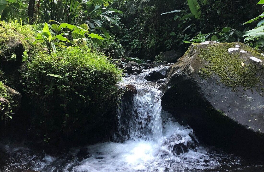 La Fortuna Mountain Ecolodge