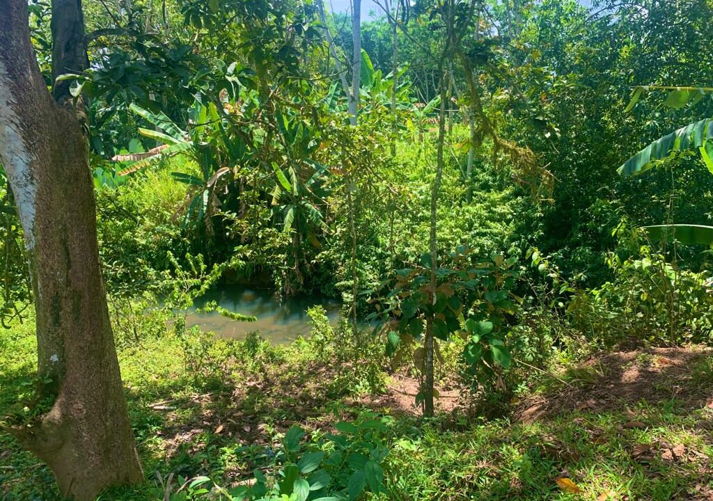 la perla income property turn key airbnb la fortuna costa rica real estate property for sale