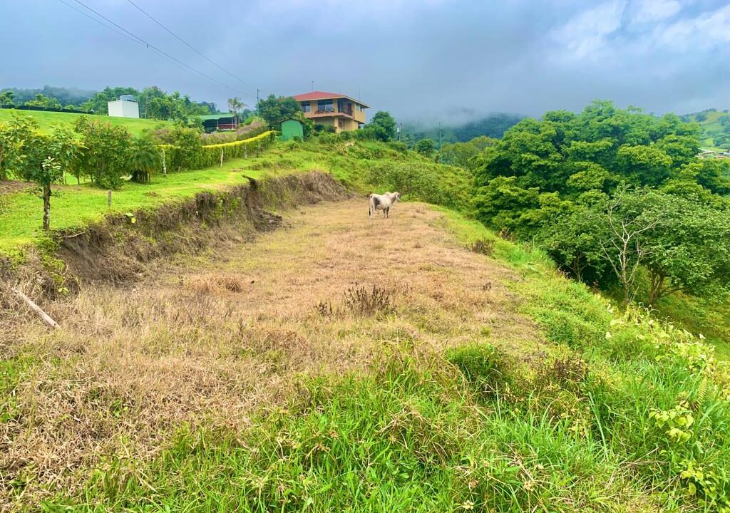 la palma lake arenal volcano land for sale mountain costa rica la fortuna