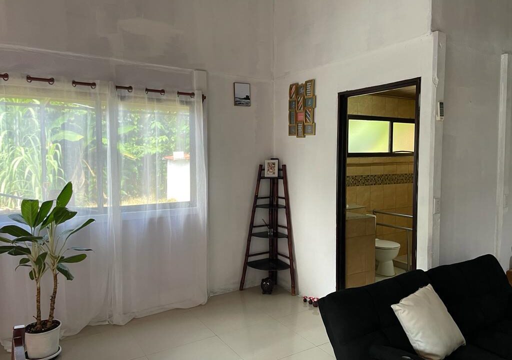 restaurant for sale la fortuna costa rica real estate income property airbnb arenal volcano hot spring