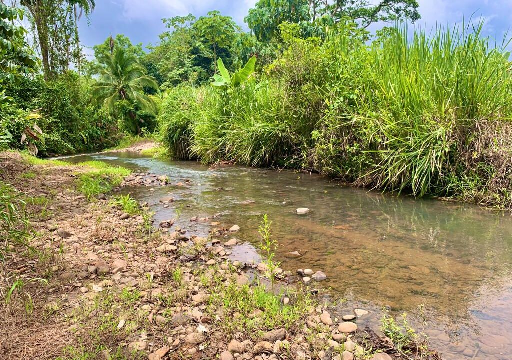 land with river for sale La Fortuna Costa Rica real estate arenal volcano hot springs