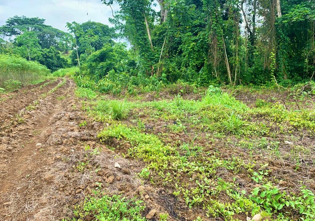 land with river for sale La Fortuna Costa Rica real estate arenal volcano hot springs