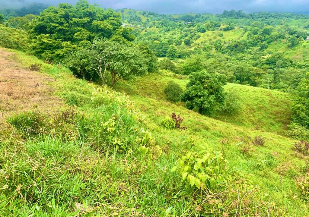 la palma lake arenal volcano land for sale mountain costa rica la fortuna