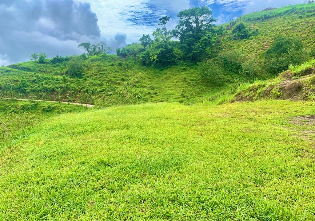 la palma lake arenal volcano land for sale mountain costa rica la fortuna