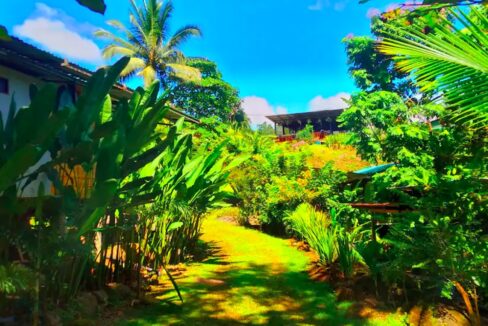 La Fortuna Costa Rica real Estate Property with River hot spring