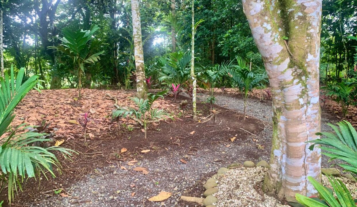 La Fortuna Costa rica investment property land for sale restaurant arenal volcano hot spring