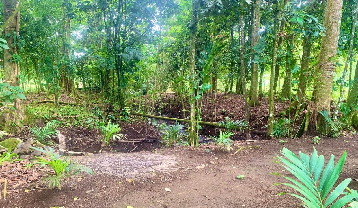 La Fortuna Costa rica investment property land for sale restaurant arenal volcano hot spring