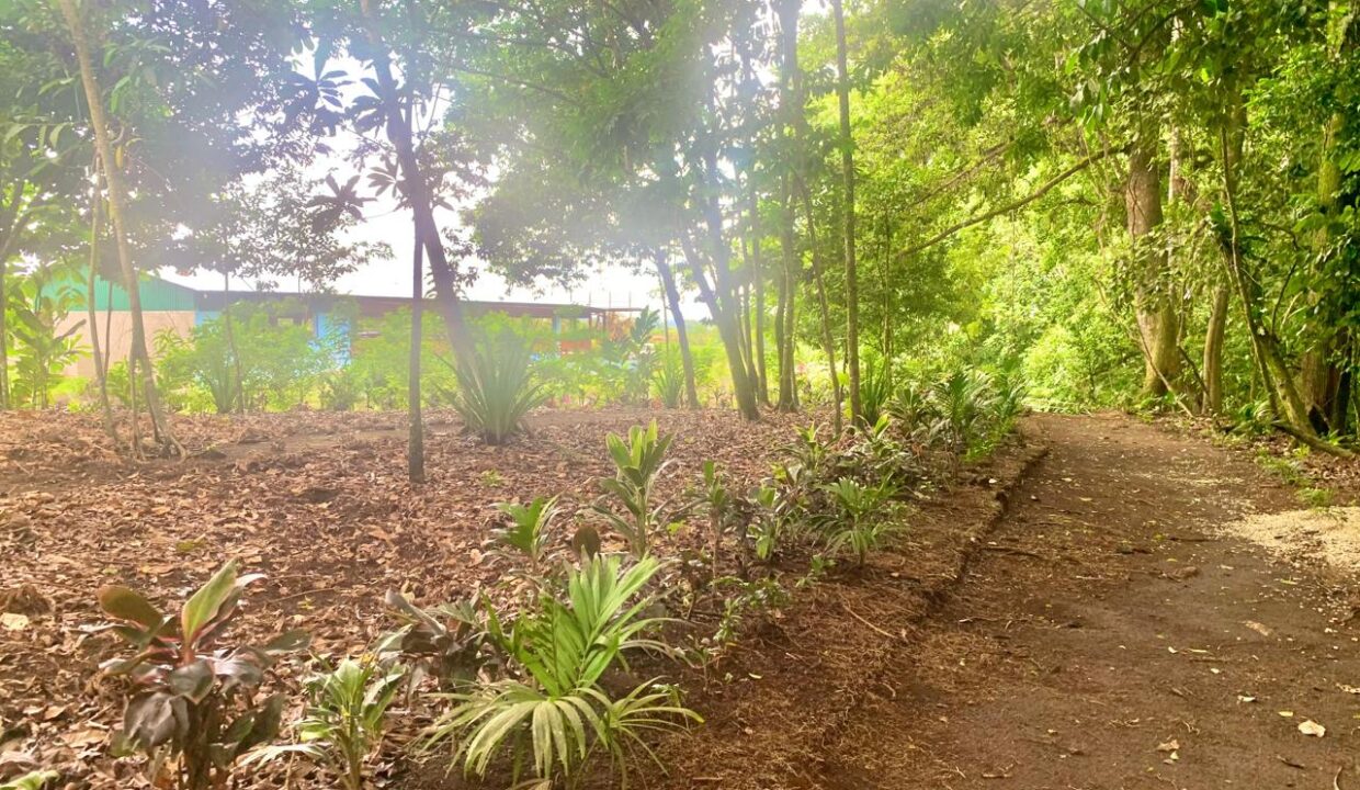 La Fortuna Costa rica investment property land for sale restaurant arenal volcano hot spring