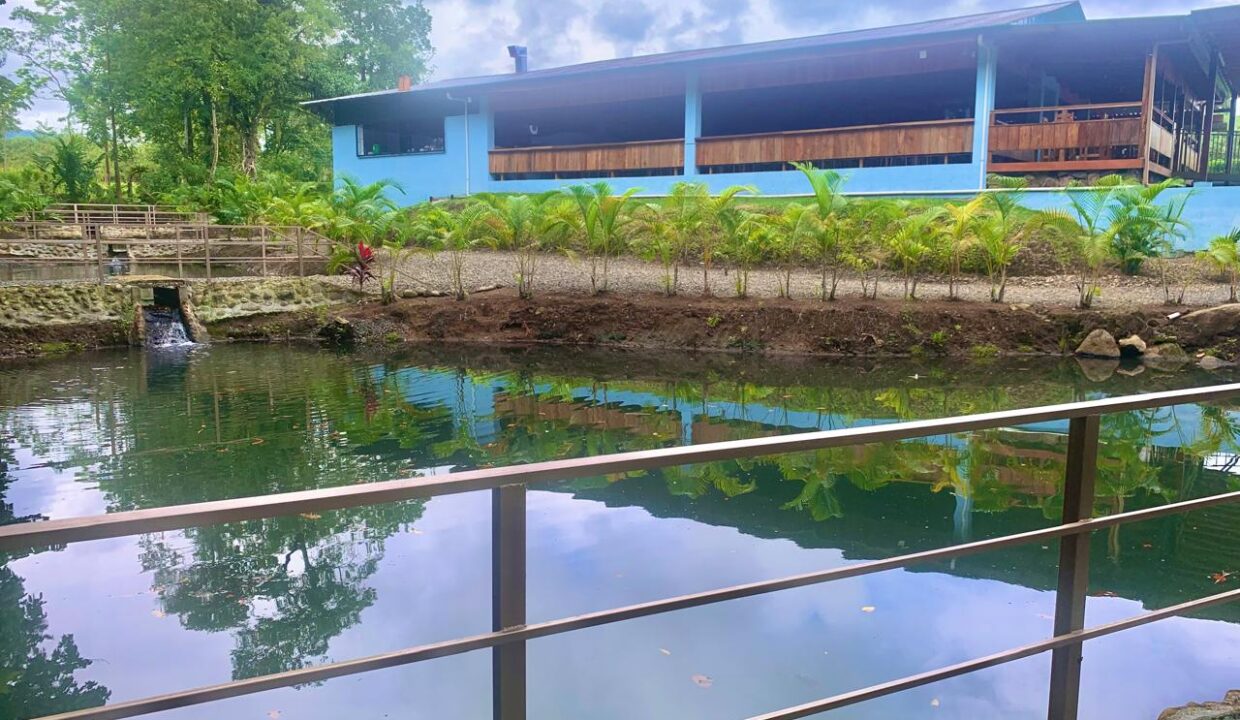 La Fortuna Costa rica investment property land for sale restaurant arenal volcano hot spring