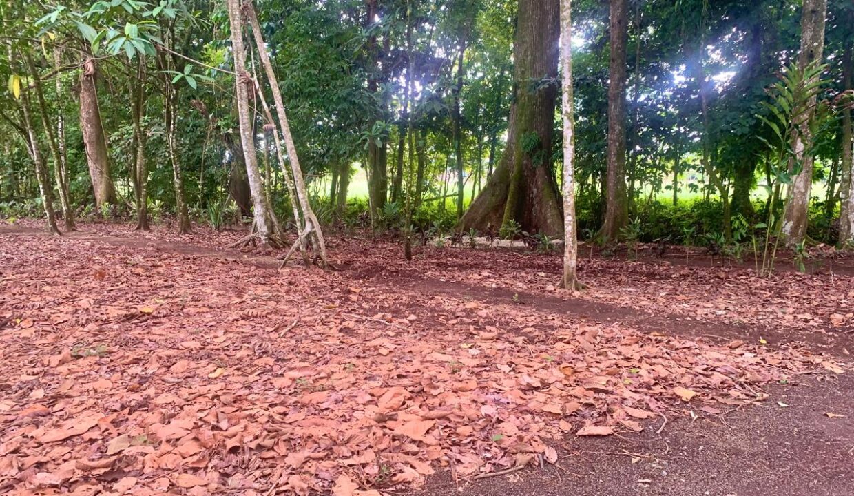 La Fortuna Costa rica investment property land for sale restaurant arenal volcano hot spring