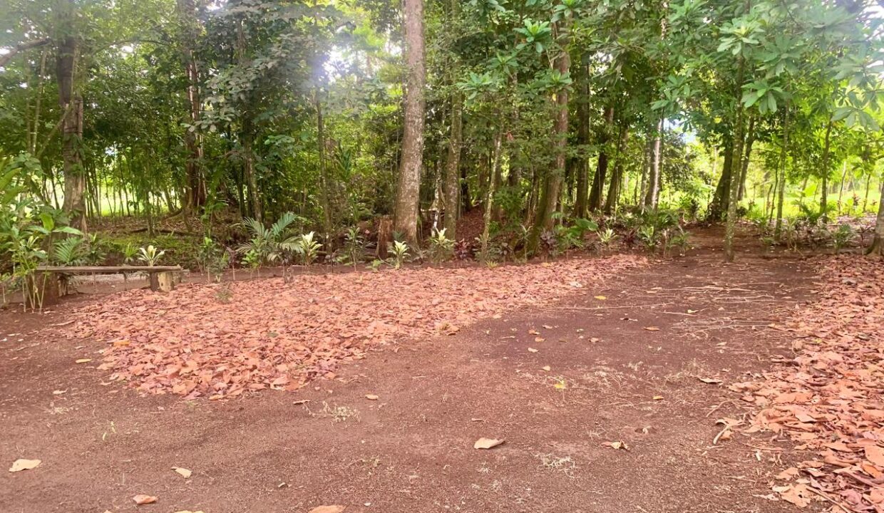 La Fortuna Costa rica investment property land for sale restaurant arenal volcano hot spring