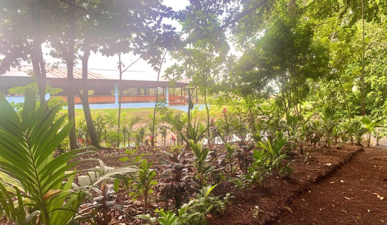 La Fortuna Costa rica investment property land for sale restaurant arenal volcano hot spring