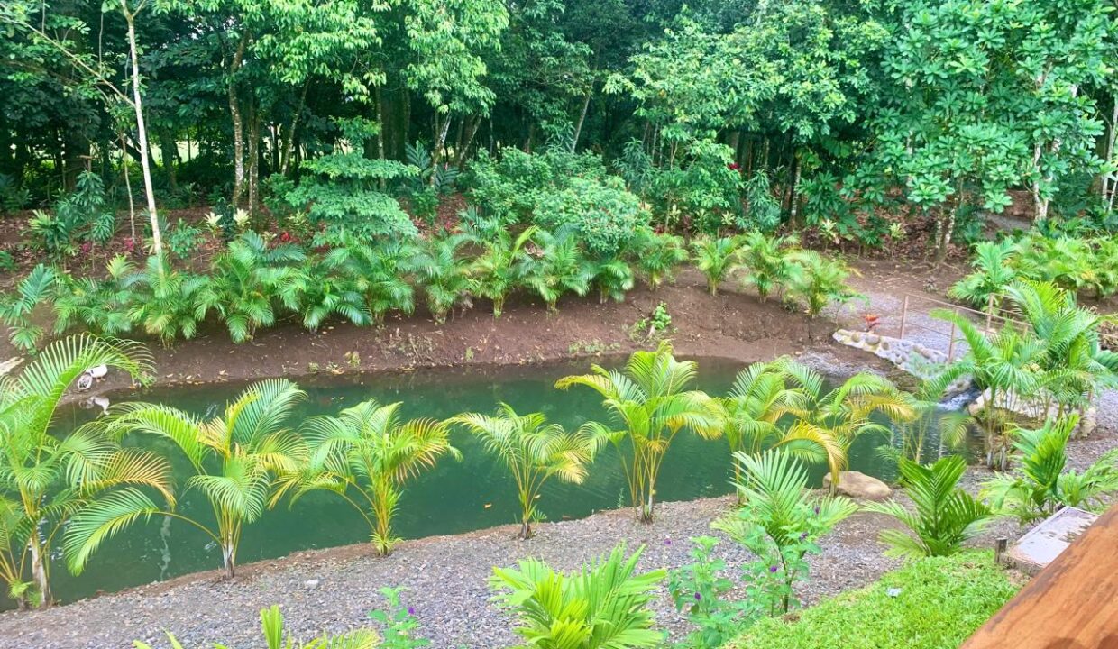 La Fortuna Costa rica investment property land for sale restaurant arenal volcano hot spring