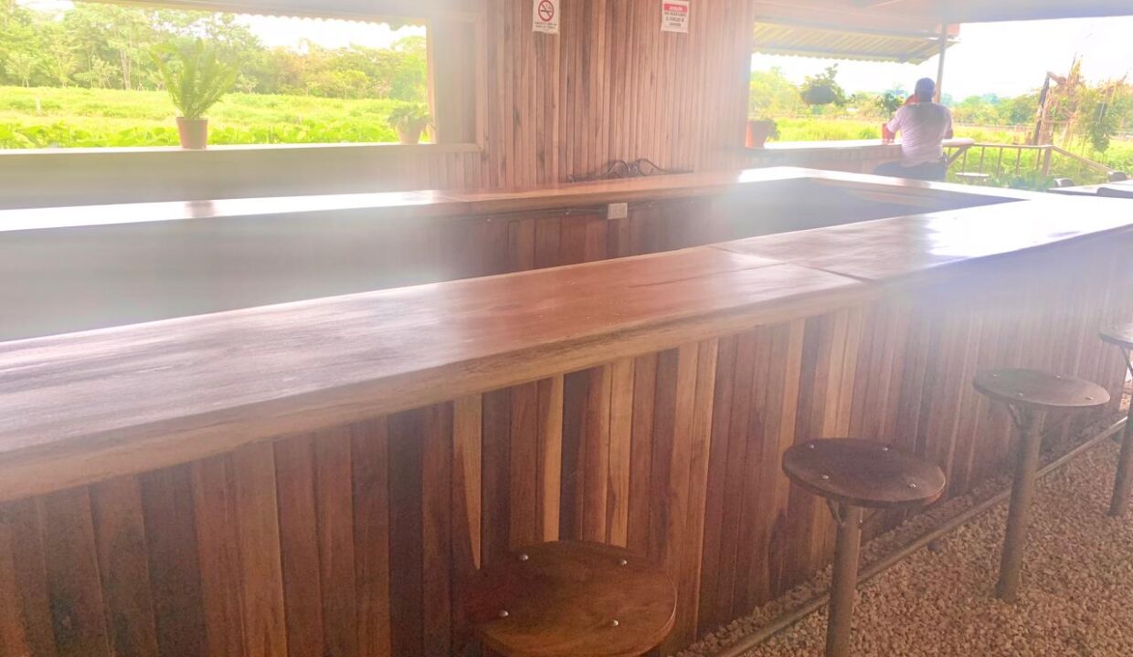 La Fortuna Costa rica investment property land for sale restaurant arenal volcano hot spring