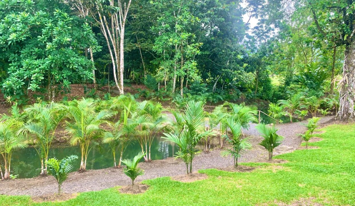 La Fortuna Costa rica investment property land for sale restaurant arenal volcano hot spring