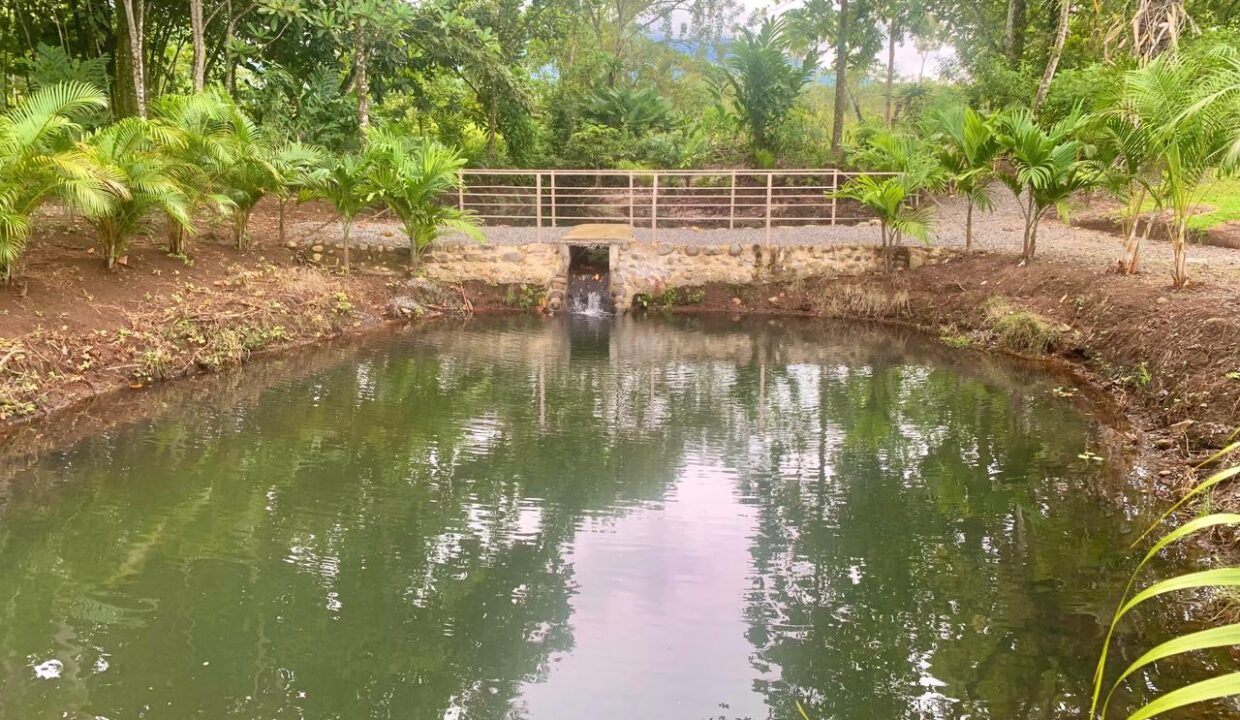 La Fortuna Costa rica investment property land for sale restaurant arenal volcano hot spring