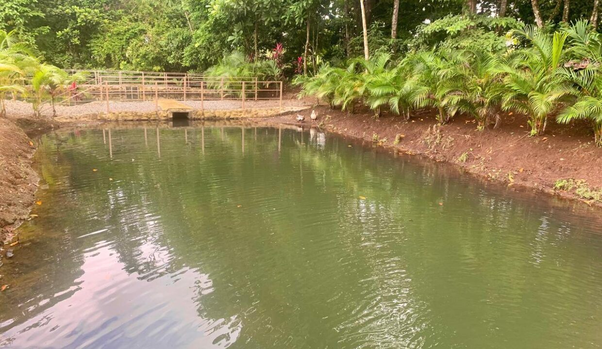 La Fortuna Costa rica investment property land for sale restaurant arenal volcano hot spring