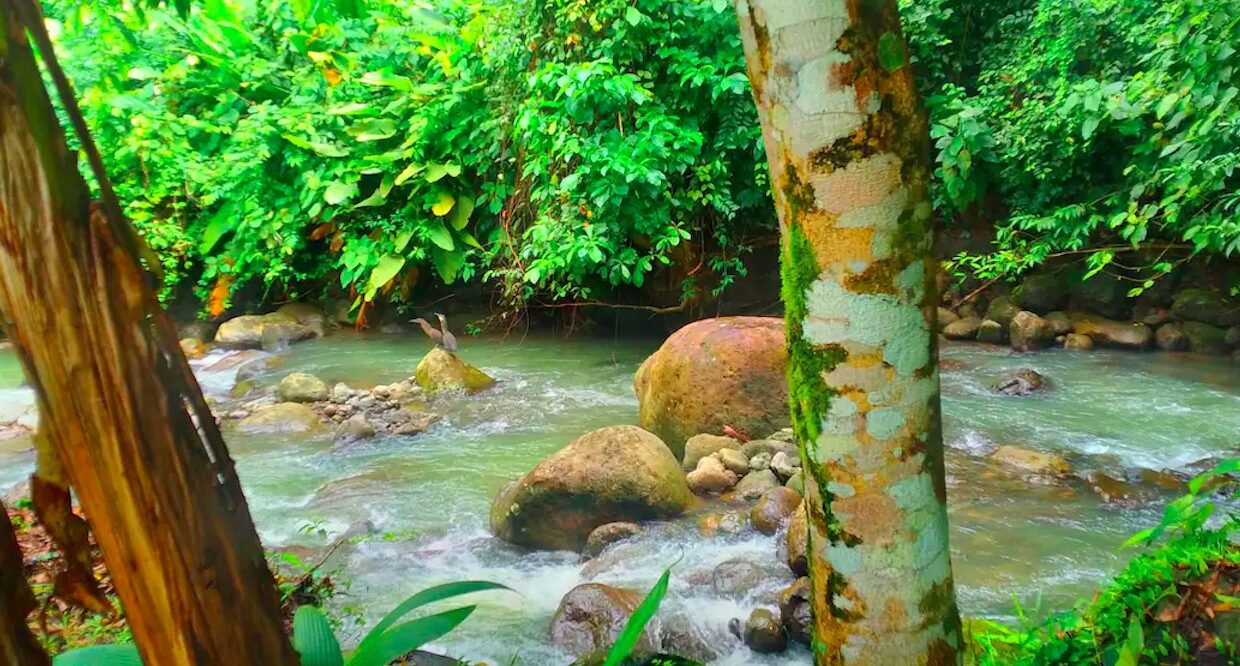La Fortuna Costa Rica real Estate Property with River hot spring