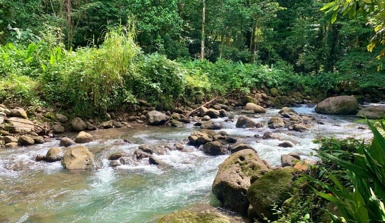 La Fortuna Costa Rica Real Estate 23