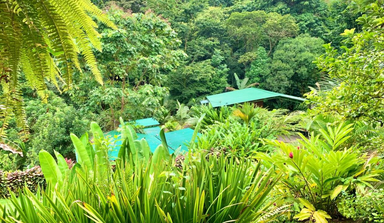 La Fortuna Costa Rica Real Estate 43