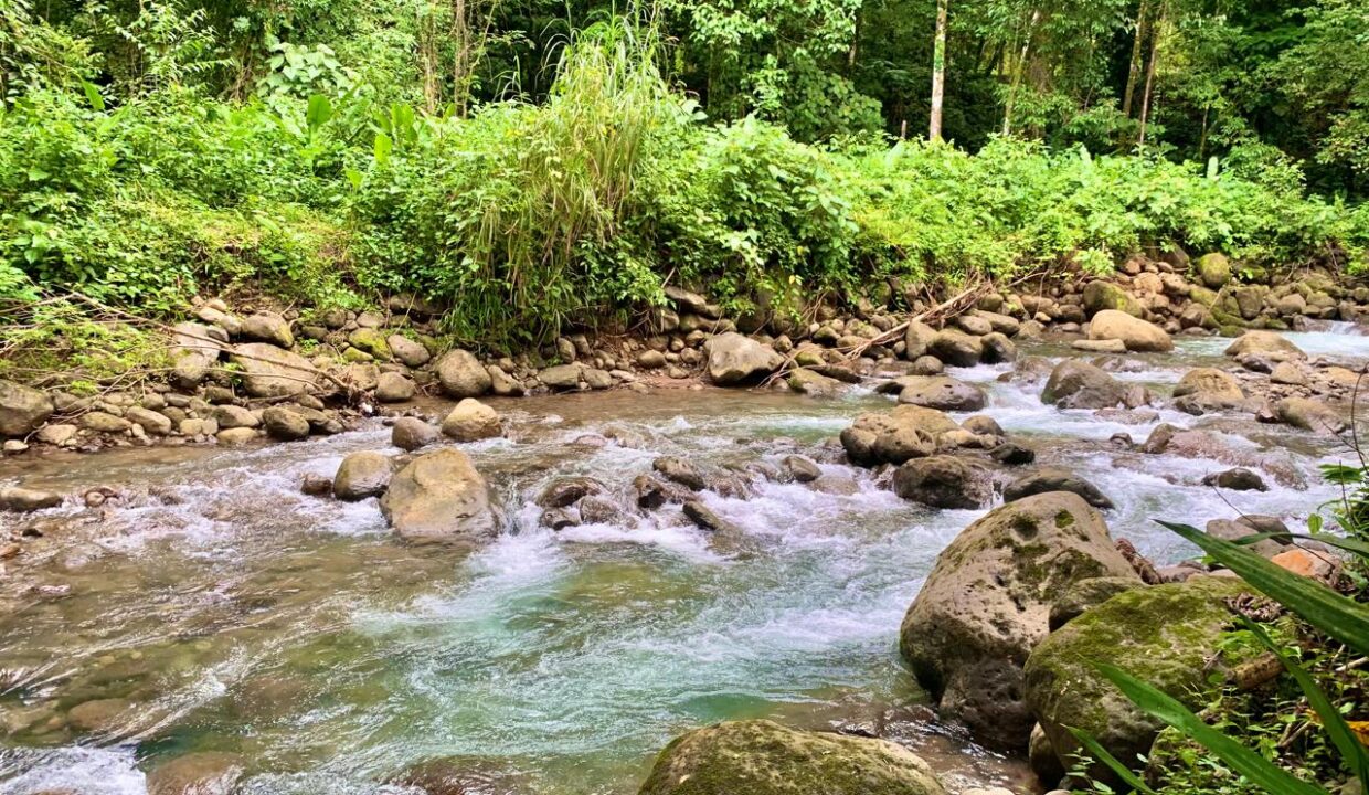 La Fortuna Costa Rica Real Estate 49