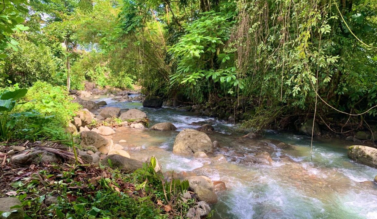 La Fortuna Costa Rica Real Estate 52