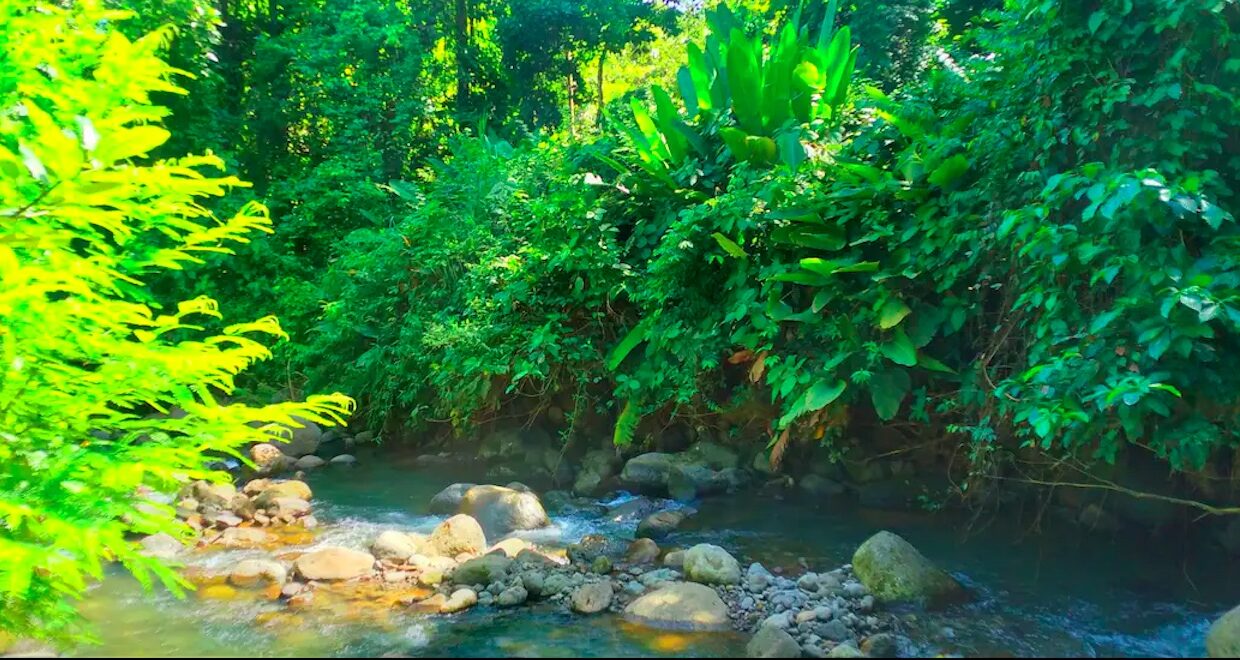 La Fortuna Costa Rica real Estate Property with River hot spring