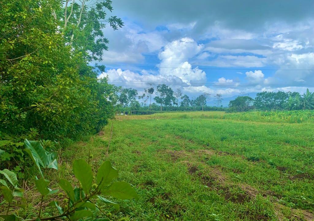 land for sale la tigra la fortuna costa rica real estate arenal volcano