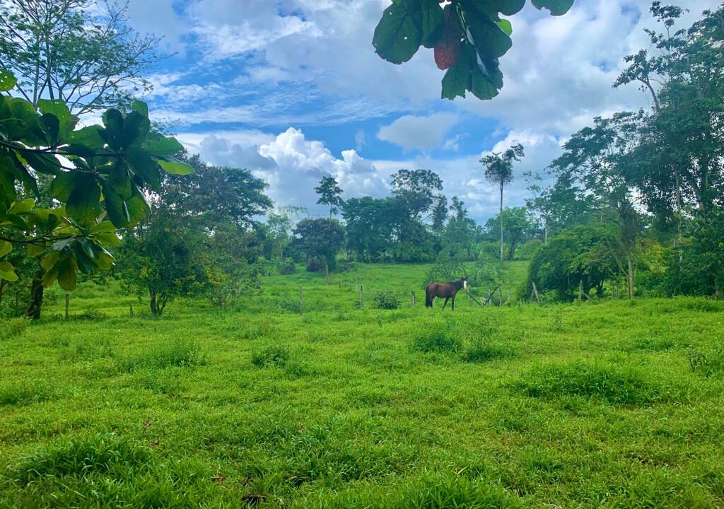 land for sale la tigra la fortuna costa rica real estate arenal volcano