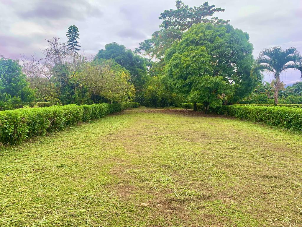 Prime Lot in Santa Lucia, 10 min to La Fortuna with Arenal Volcano Views