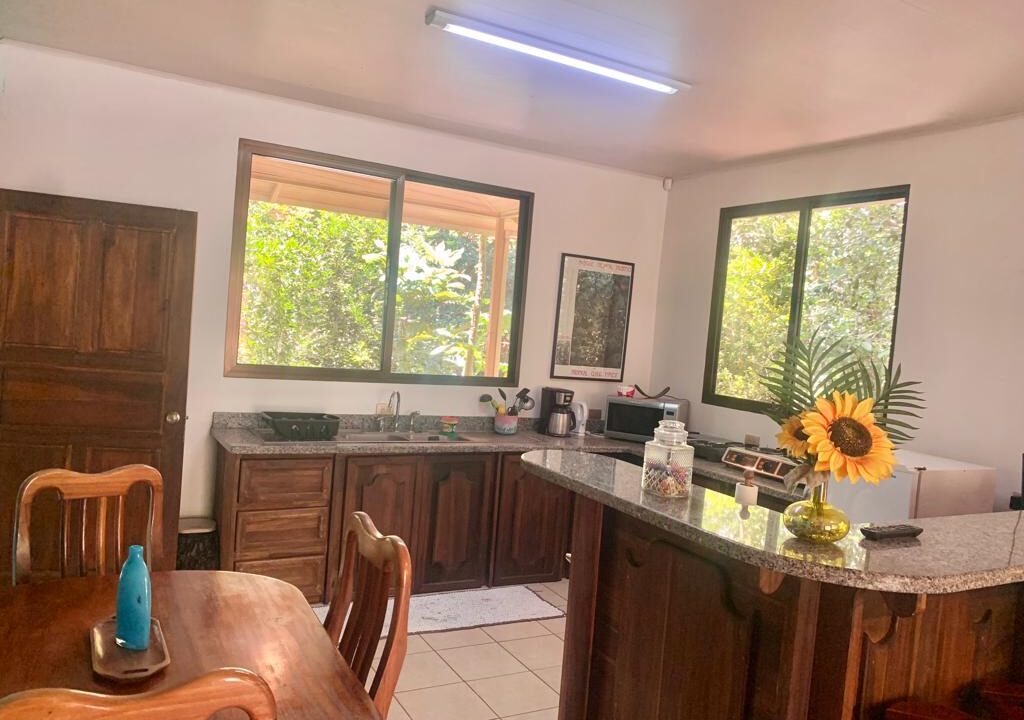 La Fortuna Waterfall Road Income Property Real Estate Airbnb Costa Rica Hot Spring